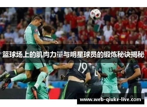 篮球场上的肌肉力量与明星球员的锻炼秘诀揭秘