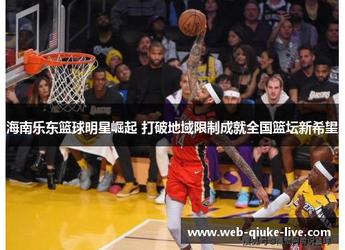 海南乐东篮球明星崛起 打破地域限制成就全国篮坛新希望