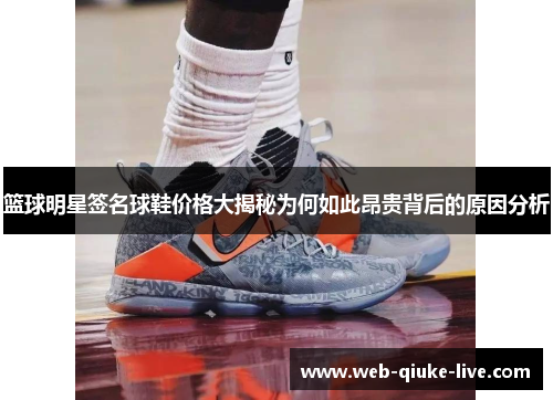 篮球明星签名球鞋价格大揭秘为何如此昂贵背后的原因分析