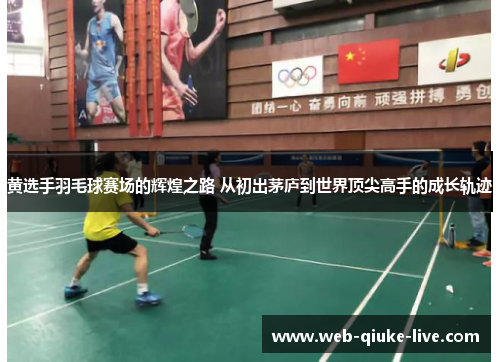 黄选手羽毛球赛场的辉煌之路 从初出茅庐到世界顶尖高手的成长轨迹