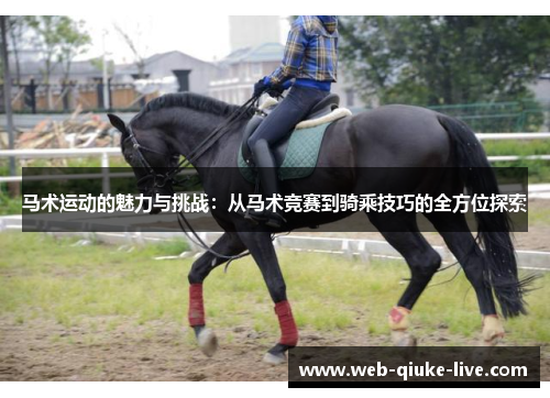 马术运动的魅力与挑战：从马术竞赛到骑乘技巧的全方位探索